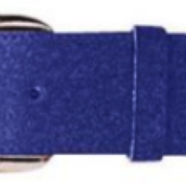 LWF Frenzy Softball Belt Thumbnail